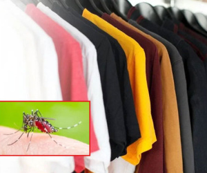 Mặc quần áo màu gì để không bị muỗi đốt?