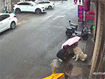 Kinh hoàng người phụ nữ bị chó lạ tấn công khi ngồi chơi cùng