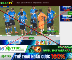 'Xôi Lạc TV gắn với tội phạm có tổ chức'