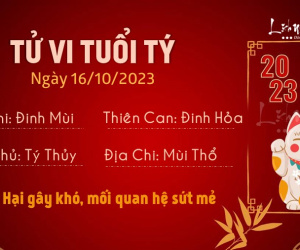 Tử vi thứ 2 ngày 16/10/2023 của 12 con giáp: Sửu gặp rắc rối, Dậu nên năng nổ