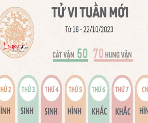 Tử vi tuần mới từ 16 - 22/10/2023 của 12 con giáp: Ngọ có cơ hội kiếm tiền, Sửu dễ mắc phải sai lầm