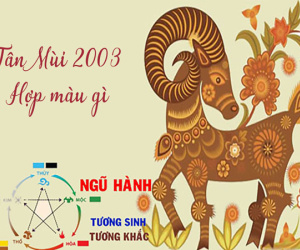 Tuổi Mùi hợp màu gì, màu sắc mang lại tiền tài cho tuổi Mùi