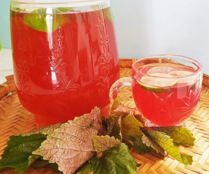 Nước lá tía tô làm đẹp da và phòng ngừa ung thu, nhưng lại 'đại kỵ' với 3 nhóm người sau