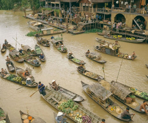 Bộ Văn hoá lên tiếng thông tin 'Đất rừng phương Nam' được 'Nhà nước đặt hàng'