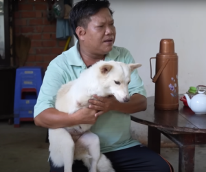 Cứu chú cún kỳ lạ bị bỏ rơi ven đường, 2 năm sau vợ chồng chạy xe ôm bỗng đổi đời