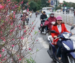 Trình phương án nghỉ Tết Nguyên đán 2024 từ 29 tháng Chạp