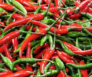 Ớt cực tốt nhưng cũng 'cực độc' với những người này