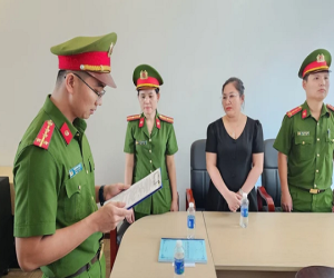 Trốn thuế hàng chục tỉ đồng, nữ giám đốc Công ty Du lịch Đà Nẵng Thanh bị bắt