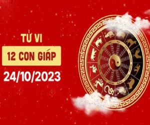 Tử vi thứ 3 ngày 24/10/2023 của 12 con giáp: Sửu khéo léo, Tị bận rộn