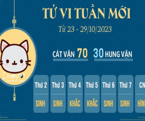 Tử vi tuần mới từ 23 - 29/10/2023 của 12 con giáp: Mão suôn sẻ, Mùi ăn nên làm ra