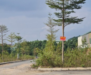 Đất nền khu vực đầu cầu Nhật Tân, Đông Anh ghi nhận 200 triệu/m2