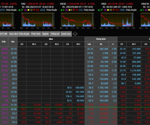 Hàng loạt cổ phiếu trụ giảm sàn, VN-Index lao dốc