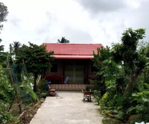 Vợ chủ tịch 1 huyện ở Cà Mau mua hàng trăm m2 đất chỉ với 10 triệu đồng!