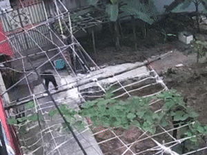 Hắt nước xà phòng vào cậu ruột, cháu lĩnh 5 năm tù