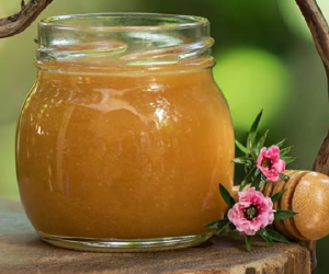 Bí mật của loại mật ong có giá gần 25 triệu đồng/kg