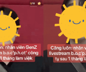 Nhân viên Gen Z livestream 'bóc phốt' công ty ngay tại phòng làm việc: Tự do ngôn luận hay 'ảo tưởng sức mạnh'?