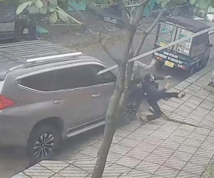 Vụ trộm chó bị xe ô tô tông trúng ở TP HCM: Khởi tố 2 thanh niên nghi trộm chó