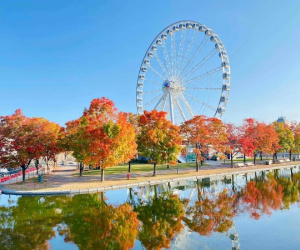 Gợi ý 7 điểm dừng chân tại Canada vào mùa Thu