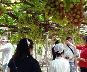 Ninh Thuận giới thiệu sản phẩm du lịch ở miền Tây