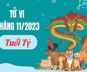 Tử vi tháng 11/2023 của 12 con giáp: Tý đừng quá tham lam, Mão gặp hung tinh gây hại cho sức khỏe