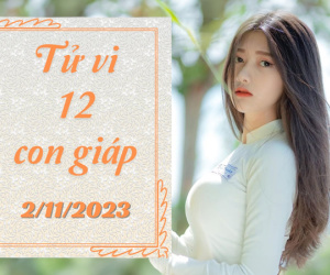 Tử vi thứ 5 ngày 2/11/2023 của 12 con giáp: Thìn tăng thu, Hợi thuận lợi
