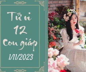 Tử vi 12 con giáp hôm nay - thứ 4 ngày 01/11/2023: Tý được nâng đỡ, Mùi có quý nhân giúp sức