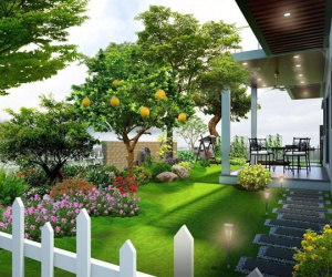 Nhà trồng 3 cây này tuyệt đối không chặt, coi chừng 'chặt đứt' tài lộc