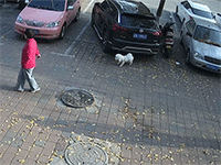 Choáng với cảm biến của ôtô Trung Quốc, chó đi dạo ngang qua nghịch ngợm cũng có thể mở cốp sau