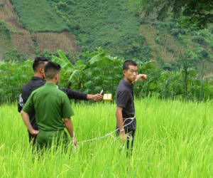 Lộ diện kẻ sát hại người phụ nữ độc thân từ vết thương ở khuỷu tay