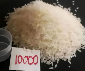 Giáo viên giao bài tập bắt nộp 10.000 hạt gạo khiến phụ huynh bức xúc: Cả nhà ngồi đếm tới đêm không xong