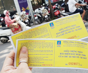 Các trường hợp không được bảo hiểm xe máy ô tô bắt buộc bồi thường dù bị thiệt hại nặng?