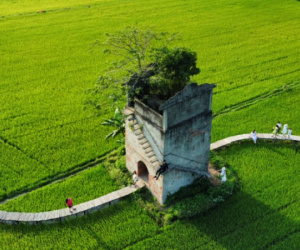 Khám phá lò gạch cũ ở Hội An, địa điểm 'sống ảo' được nhiều người tìm đến