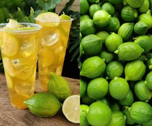 Trà chanh giã tay - trend mới ngành F&B, nhưng một số chủ quán từ chối 'đu trend' vì vấn đề này