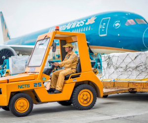 Thua lỗ triền miên, Vietnam Airlines sắp nhận cổ tức 43 tỷ đồng