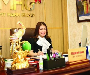 Vì sao nhiều người 'sập bẫy' dự án trồng sâm Ngọc Linh cty Mỹ Hạnh?
