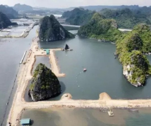 Bộ TN-MT lên tiếng vụ vùng đệm vịnh Hạ Long bị san lấp làm khu đô thị