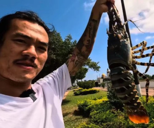 'Gã ăn mày' người Hải Dương tiết lộ về nơi chỉ người nghèo mới ăn tôm hùm, ra biển sai ngày có thể rắc rối lớn