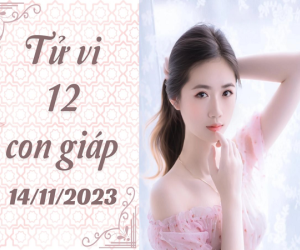 Tử vi thứ 3 ngày 14/11/2023 của 12 con giáp: Mão may mắn, Hợi nóng nảy