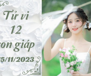 Tử vi 12 con giáp hôm nay - thứ 4 ngày 15/11/2023: Tý thuận lợi, Thìn bị ám hại