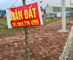 Gần trăm lô đất đấu giá ở Bắc Giang bị bỏ cọc hàng chục tỷ đồng