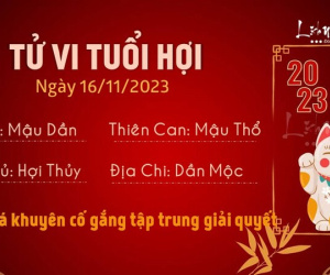 Tử vi thứ 5 ngày 16/11/2023 của 12 con giáp: Hợi rủng rỉnh, Sửu xung đột