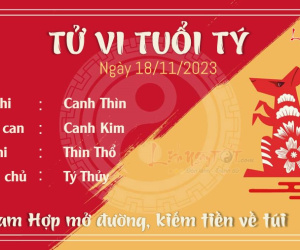 Tử vi thứ 7 ngày 18/11/2023 của 12 con giáp: Hợi tủi thân, Tý nhanh nhẹn