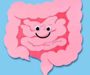 Bạn có biết 'hệ thần kinh ruột' giống như bộ não thứ hai của con người?