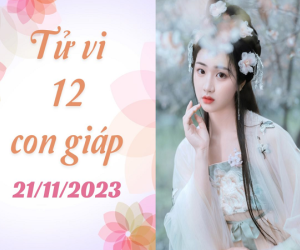 Tử vi thứ 3 ngày 21/11/2023 của 12 con giáp: Thìn thuận lợi, Tuất tinh tế