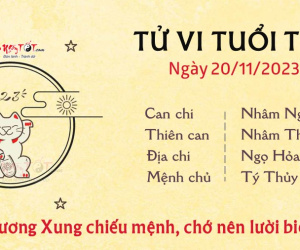 Tử vi thứ 2 ngày 20/11/2023 của 12 con giáp: Tý lười biếng, Thìn hiếu thắng