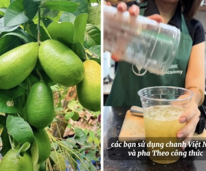 Giữa trend trà chanh giã tay, nhiều người bắt đầu chọn nông sản Việt để thay thế và kết quả bất ngờ