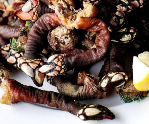 Đặc sản 'ngón tay của quỷ' giá gần 4 triệu/kg, muốn mua cũng khó