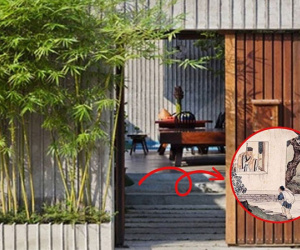 Tổ Tiên dặn: 'Trước cửa không trồng tre, sau nhà không trồng cây', vì sao lại thế?