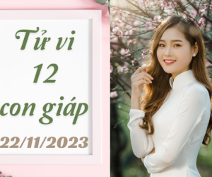 Tử vi 12 con giáp hôm nay - thứ 4 ngày 22/11/2023: Sửu hanh thông, Thìn gặp quý nhân