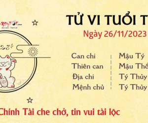 Tử vi Chủ nhật ngày 26/11/2023 của 12 con giáp: Mão tò mò, Tị tỉnh táo